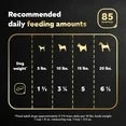 ( 2 Pack ) Cesar Fillets in Gravy Rotisserie Chicken Wet Dog Food, 3.5 oz Tray