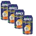 ( 4 Pack ) Jumex Nectar, From Concentrate, Pineapple Coconut 11.3 Fl Oz