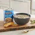 Progresso Traditional Creamy Chicken & Mushroom Soup With Barley 18.5oz - Pack of 2, Includes V2U Utensil Set