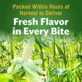 ( 2 Pack ) Del Monte Sweet White Whole Kernel Corn, 15.25 oz Can
