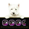 ( 2 Pack ) Cesar Classic Loaf in Sauce Porterhouse Steak Wet Dog Food, 3.5 oz Tray